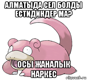 алматыда сел болды естидиндер ма? осы жаналык наркес