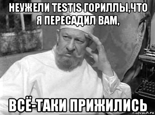 неужели testis гориллы,что я пересадил вам, всё-таки прижились