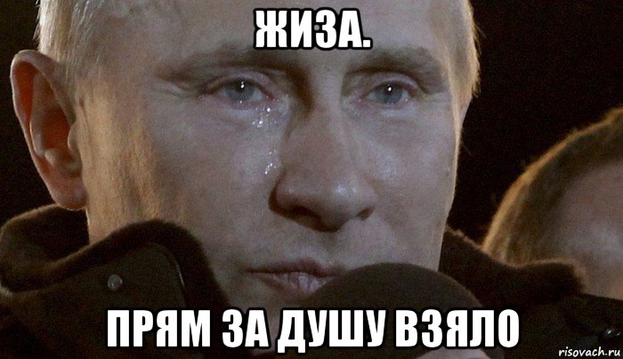 жиза. прям за душу взяло, Мем Плачущий Путин