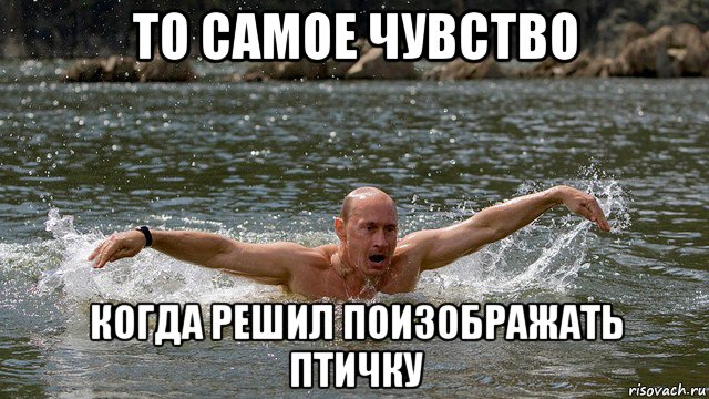 то самое чувство когда решил поизображать птичку