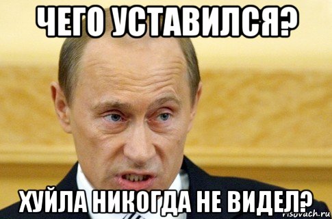 чего уставился? хуйла никогда не видел?