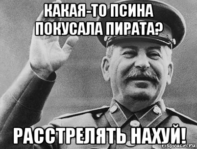 какая-то псина покусала пирата? расстрелять нахуй!