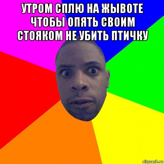 утром сплю на жывоте чтобы опять своим стояком не убить птичку 
