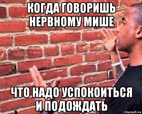 когда говоришь нервному мише что надо успокоиться и подождать, Мем разговор со стеной