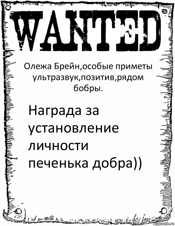 Олежа Брейн,особые приметы ультразвук,позитив,рядом бобры. Награда за установление личности печенька добра))