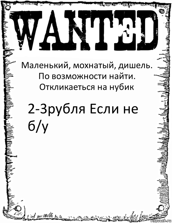 Маленький, мохнатый, дишель.
По возможности найти. Откликаеться на нубик 2-3рубля Если не б/у, Комикс розыск