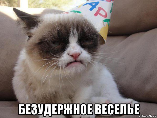  безудержное веселье, Мем С ДР КРОЧ