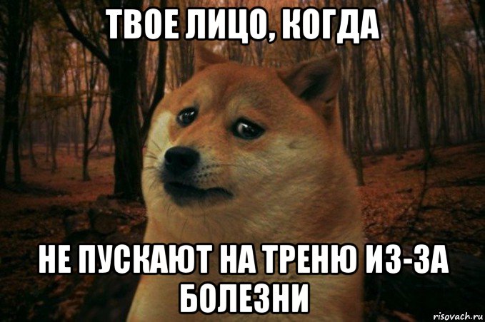 твое лицо, когда не пускают на треню из-за болезни, Мем SAD DOGE