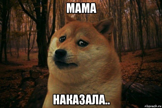 мама наказала.., Мем SAD DOGE