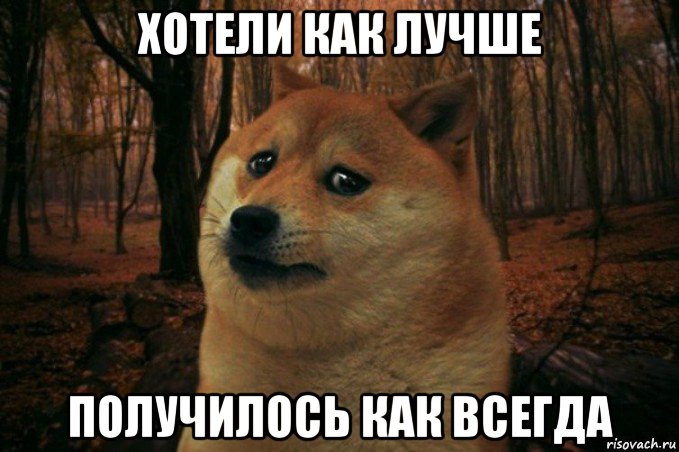 хотели как лучше получилось как всегда, Мем SAD DOGE