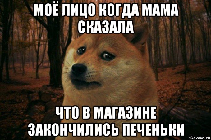 моё лицо когда мама сказала что в магазине закончились печеньки, Мем SAD DOGE