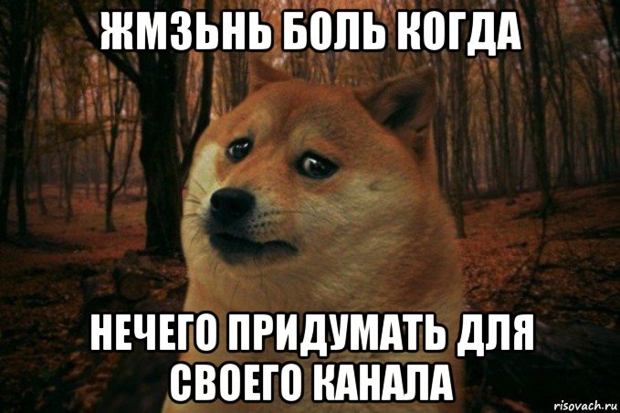 жмзьнь боль когда нечего придумать для своего канала, Мем SAD DOGE