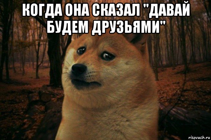 когда она сказал "давай будем друзьями" , Мем SAD DOGE