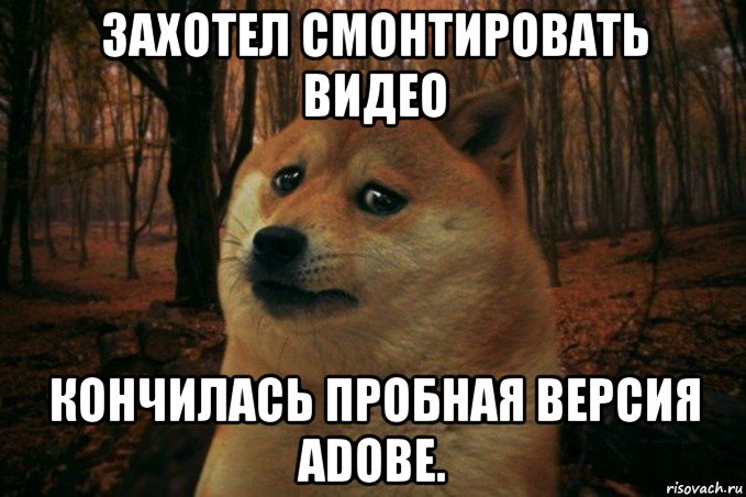 захотел смонтировать видео кончилась пробная версия adobe., Мем SAD DOGE