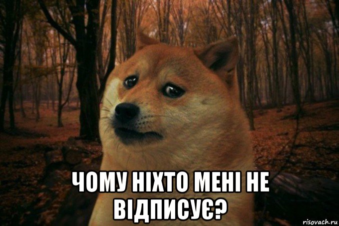  чому ніхто мені не відписує?, Мем SAD DOGE