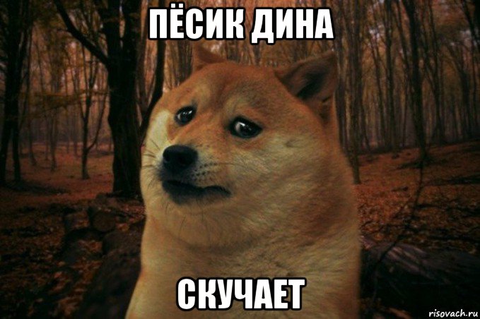 пёсик дина скучает, Мем SAD DOGE