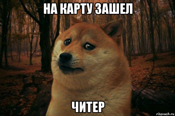 на карту зашел читер, Мем SAD DOGE