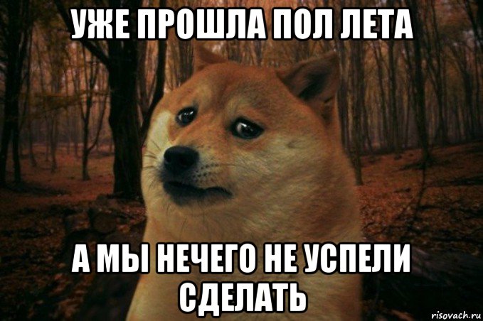 уже прошла пол лета а мы нечего не успели сделать, Мем SAD DOGE