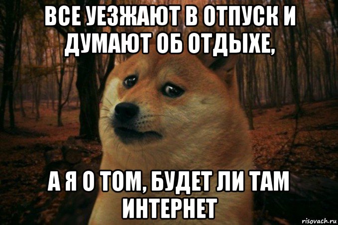 все уезжают в отпуск и думают об отдыхе, а я о том, будет ли там интернет, Мем SAD DOGE