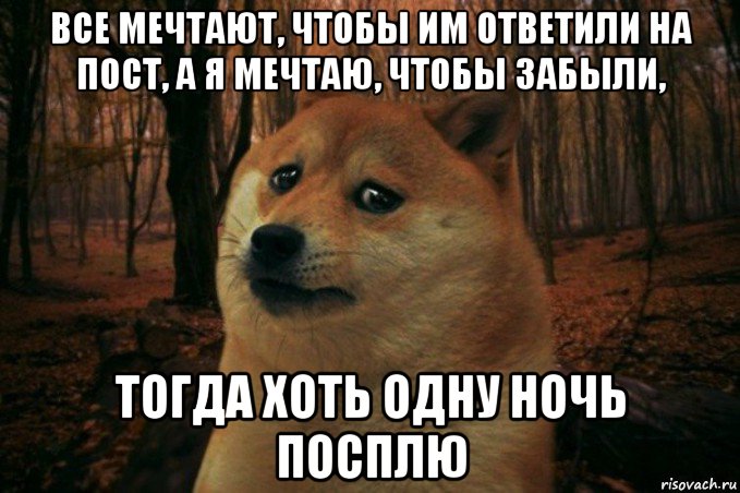 все мечтают, чтобы им ответили на пост, а я мечтаю, чтобы забыли, тогда хоть одну ночь посплю, Мем SAD DOGE