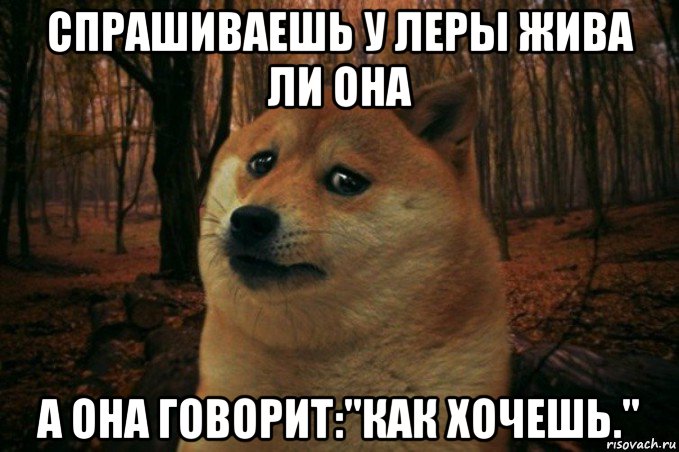 спрашиваешь у леры жива ли она а она говорит:"как хочешь.", Мем SAD DOGE