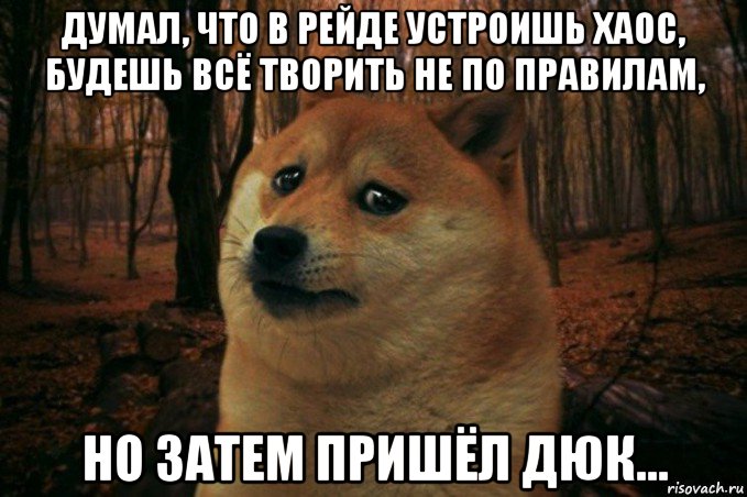 думал, что в рейде устроишь хаос, будешь всё творить не по правилам, но затем пришёл дюк..., Мем SAD DOGE