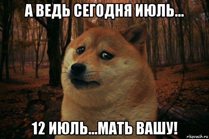 а ведь сегодня июль... 12 июль...мать вашу!, Мем SAD DOGE