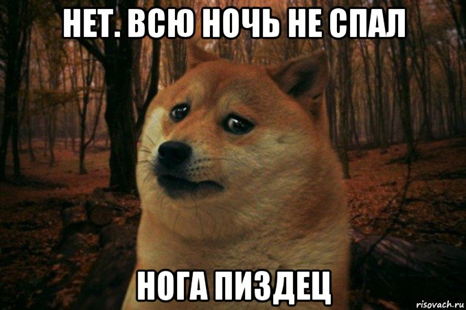 нет. всю ночь не спал нога пиздец, Мем SAD DOGE