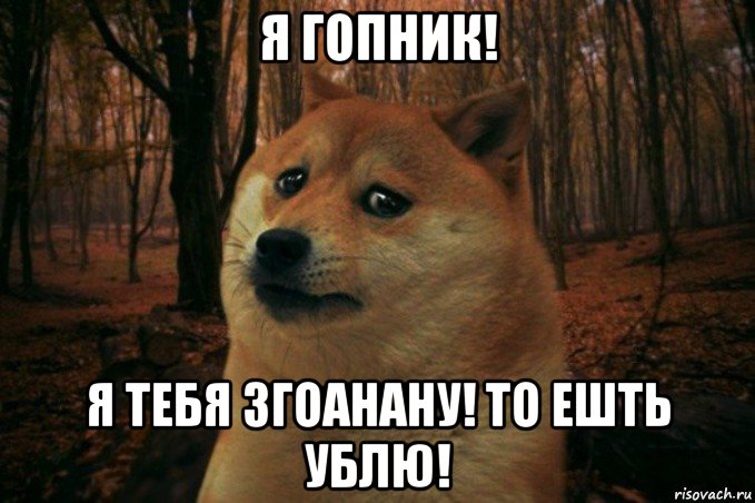 я гопник! я тебя згоанану! то ешть ублю!, Мем SAD DOGE