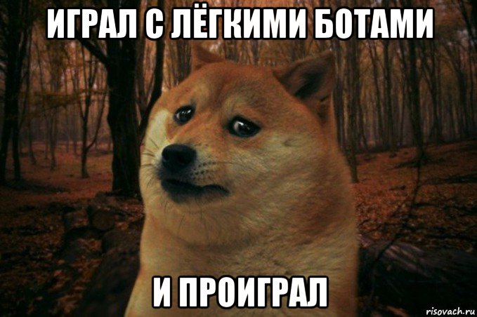 играл с лёгкими ботами и проиграл, Мем SAD DOGE