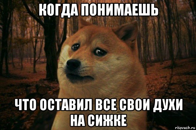 когда понимаешь что оставил все свои духи на сижке, Мем SAD DOGE