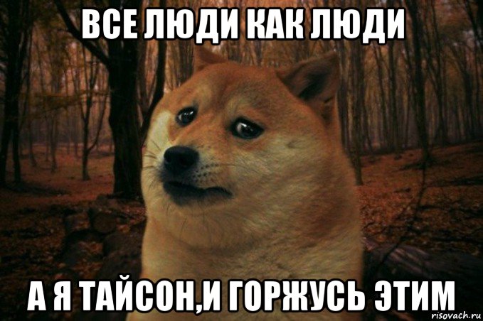 все люди как люди а я тайсон,и горжусь этим, Мем SAD DOGE