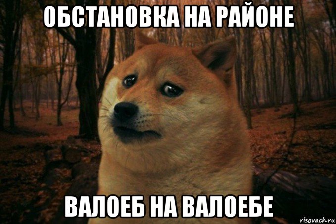 обстановка на районе валоеб на валоебе, Мем SAD DOGE