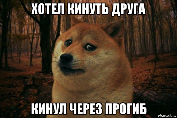 хотел кинуть друга кинул через прогиб, Мем SAD DOGE