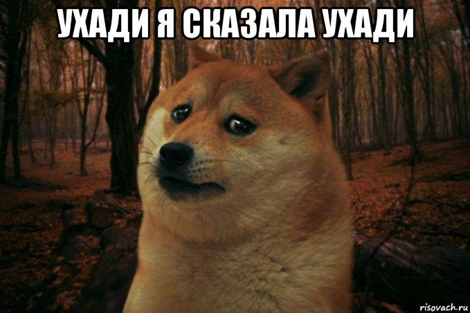 ухади я сказала ухади , Мем SAD DOGE