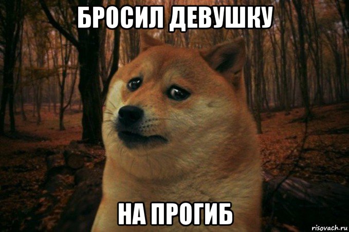 бросил девушку на прогиб, Мем SAD DOGE