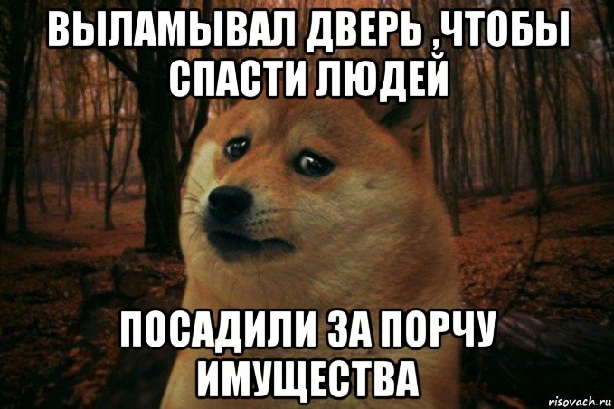 выламывал дверь ,чтобы спасти людей посадили за порчу имущества, Мем SAD DOGE