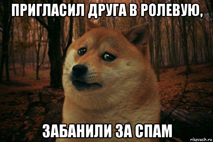 пригласил друга в ролевую, забанили за спам, Мем SAD DOGE