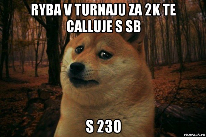 ryba v turnaju za 2k te calluje s sb s 23o, Мем SAD DOGE