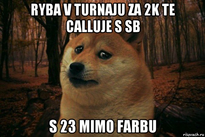 ryba v turnaju za 2k te calluje s sb s 23 mimo farbu, Мем SAD DOGE