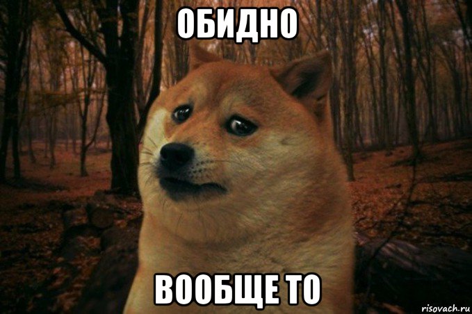 обидно вообще то, Мем SAD DOGE