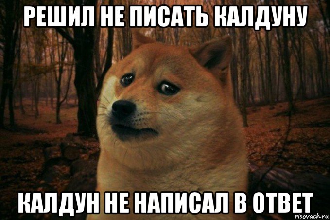 решил не писать калдуну калдун не написал в ответ, Мем SAD DOGE