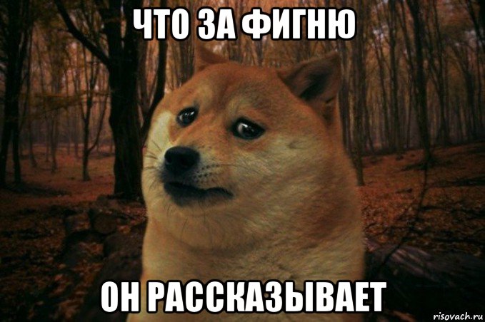 что за фигню он рассказывает, Мем SAD DOGE