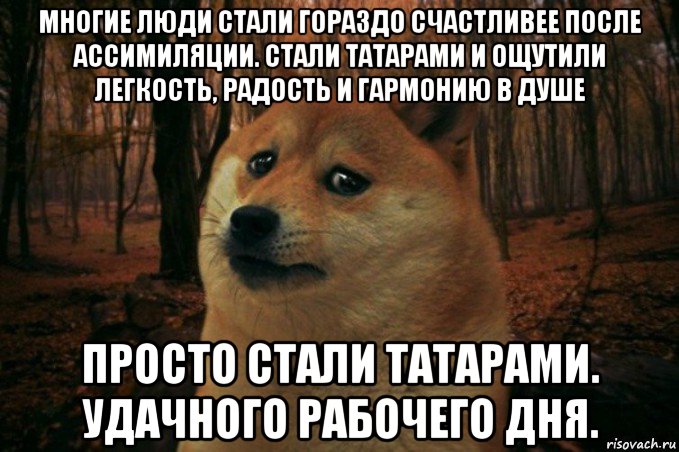 многие люди стали гораздо счастливее после ассимиляции. стали татарами и ощутили легкость, радость и гармонию в душе просто стали татарами. удачного рабочего дня., Мем SAD DOGE