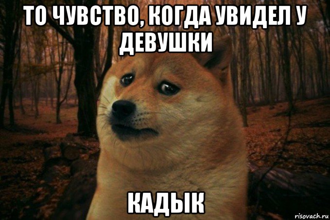 то чувство, когда увидел у девушки кадык, Мем SAD DOGE