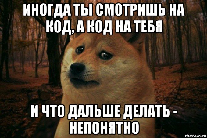 иногда ты смотришь на код, а код на тебя и что дальше делать - непонятно, Мем SAD DOGE