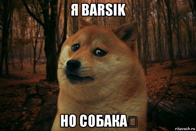 я barsik но собакаت, Мем SAD DOGE