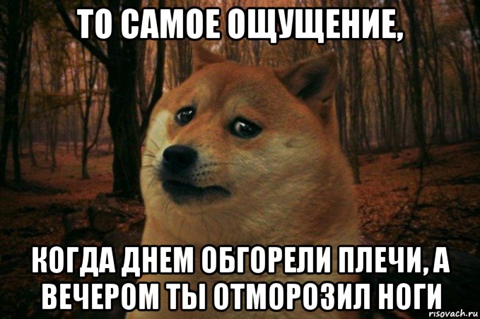 то самое ощущение, когда днем обгорели плечи, а вечером ты отморозил ноги, Мем SAD DOGE