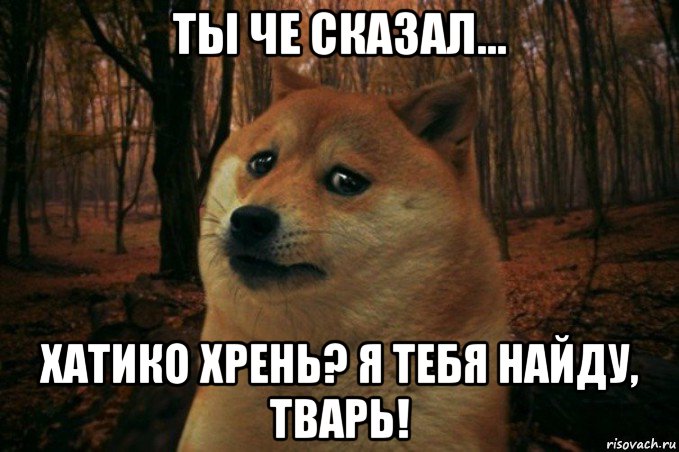 ты че сказал... хатико хрень? я тебя найду, тварь!, Мем SAD DOGE