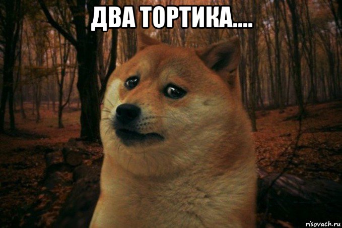 два тортика.... , Мем SAD DOGE